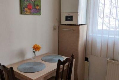 Apartament cu 2 camere semidecomandat în Central - 5