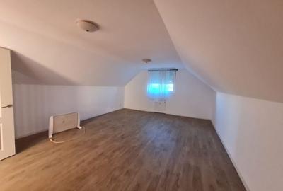 Casa cu teren de 14340 mp în Jebel/Pretabila pentru afacere - 15