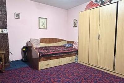 Casă individuală cu 4 camere cu Canalizare în Viile Noi - 21