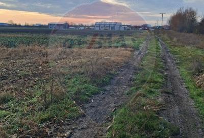 Teren de 3400 mp, în Sântion - 1