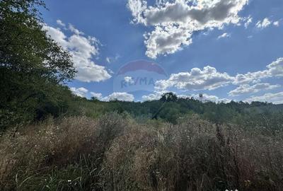 Teren de 6372 mp, în Paleu - 8