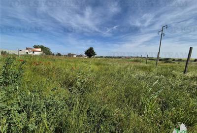 Teren intravilan Techirghiol - 4