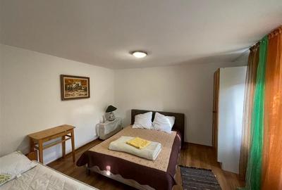 Vila deosebita, 2 corpuri P+M si P+1E, Margineni-Bacau - 7