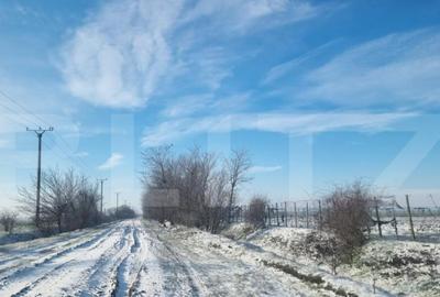 Teren de 50000 mp, în Ciorani - 7