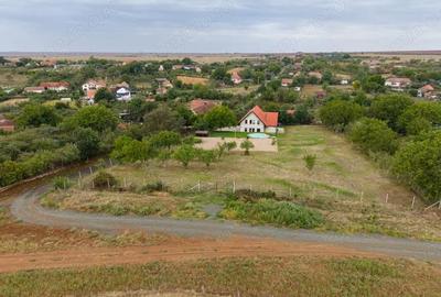 Teren de 1584 mp, în Murani - 6