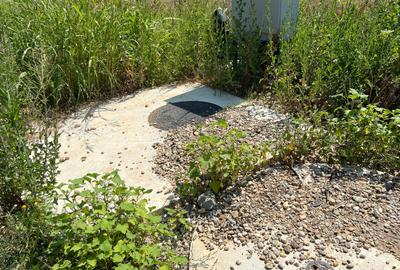 Ciolpani -Ilfov - teren 4000 mp - 8