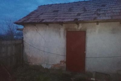 Casă cu Teren 1222 Mp în Grădinari - 4