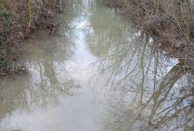 Casă cu 3 camere cu Teren 2400 Mp în Diosig - 1