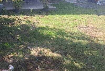 Casa de Vanzare Soseaua Leordeni! Casa de Vanzare Soseaua Leordeni! - 13