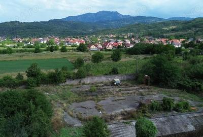Casă cu Teren 4000 Mp în Central - 12