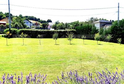 Casa cu design unic, 180 mp utili, 500 mp teren, Salicea - 2