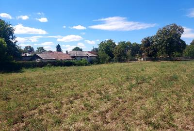 CLUB SNAGOV-VILA SUPERBA, TOTAL PRIVACY,FINISAJE LUX,CURTE 2000  MP,565000 EURO - 40