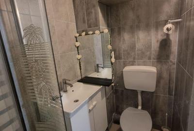 RAMDA Concept Imob,Garsoniera de vanzare,parter, 21 UTILI Rogerius - 4