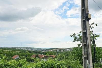 Teren Construcții intravilan de 780 mp, în Săldăbagiu de Munte - 4