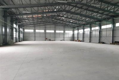 Spațiu industrial, de 1,982 mp, în Central - 4