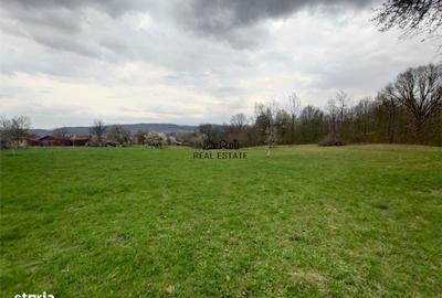 Teren de 9370 mp, în Baia de Criș