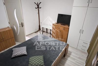 Apartament cu 2 camere semidecomandat, mobilat în Buziașului - 8