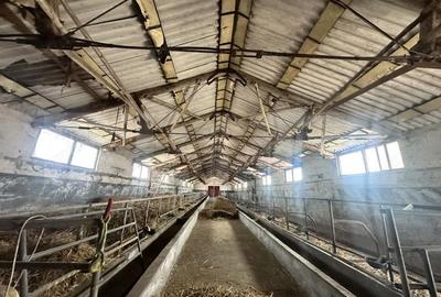 Spațiu comercial, de 356 mp, în Central - 14