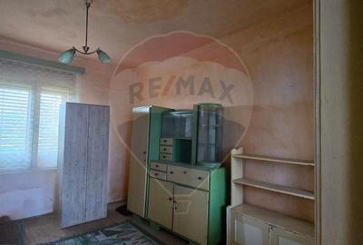 Casa de vanzare in Graniceri aproape de Arad - 12