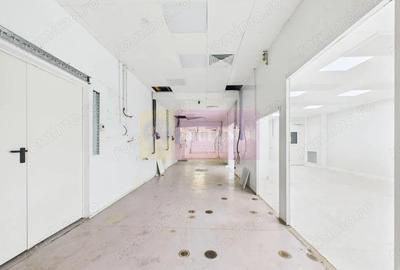 Spatiu Industrial | Comercial Dristor VITAN | RACARI - 3