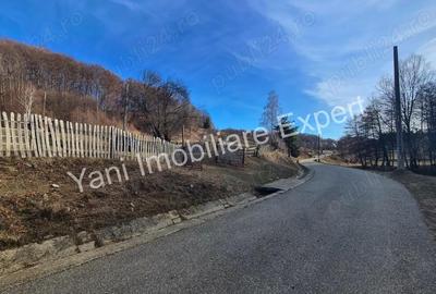 Teren de 4681 mp, în Bărăști - 18