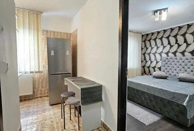 Garsonieră decomandată, mobilată în Popa Șapcă - 9