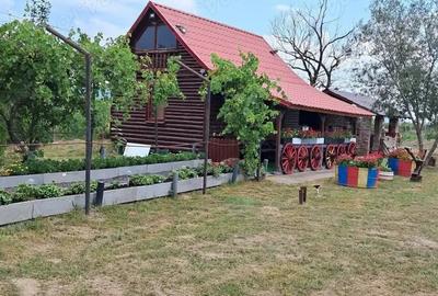 Teren de vanzare - 4