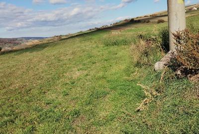 Teren agricol extravilan de 4600 mp, în Baciu - 3
