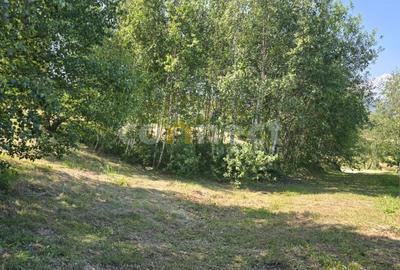 De vanzare teren superb in Ciurila - 500 mp de liniste, verdeata si potential De vanzare teren superb in Ciurila - 500 mp de liniste, verdeata si potential - 4