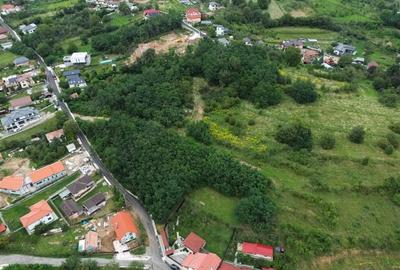 Teren intravilan pentru case sau duplexuri- Feleac - 3