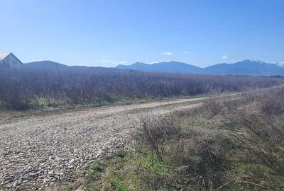 Teren de 600 mp, în Bod