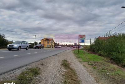 Spațiu comercial, în Manasia - 1