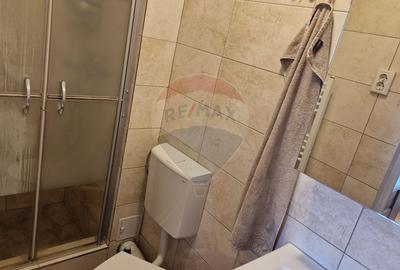 Apartament cu 2 camere de inchiriat in zona Gheorgheni - 10