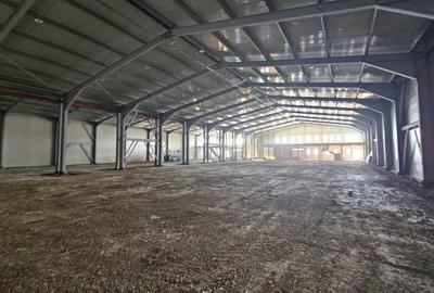 Spațiu industrial, în Balotești - 3