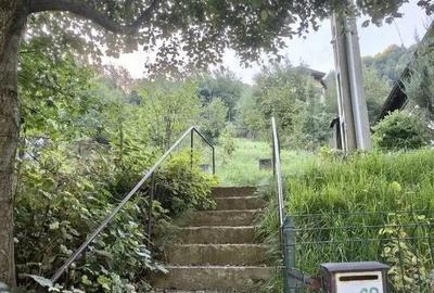 Casă cu 11 camere cu Teren 1560 Mp în Moieciu - 10