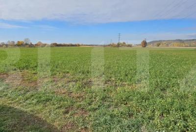 Teren de 1400 mp, în Răzvad - 4