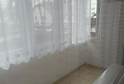 Apartament 3 camere parter Ion Slavici - 10