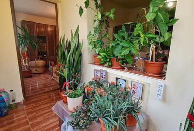 Apartament cu 3 camere decomandat, mobilat în ICIL - 3