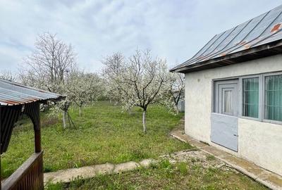 Casă cu 2 camere în Cojești - 6