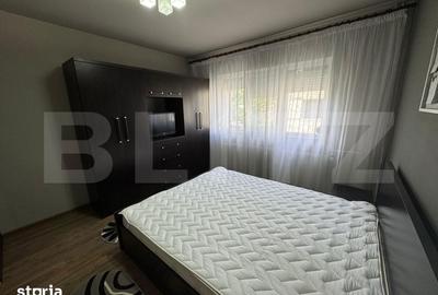 Apartament cu 2 camere decomandat în Brazda lui Novac
