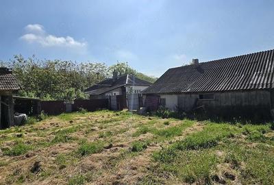 Casă cu Teren 962 Mp în Carasa - 1