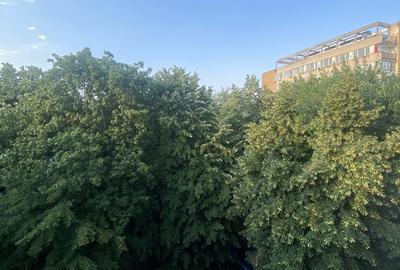 Bucur Obor, Ferdinand - 2