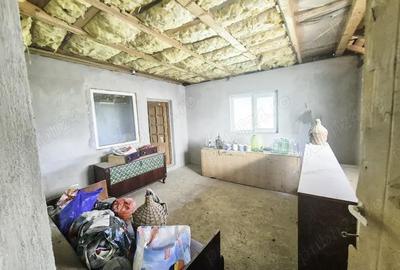 Casa Borlesti Merisani Arges - 2