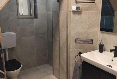 Apartament cu 2 camere semidecomandat în Bârzești - 2