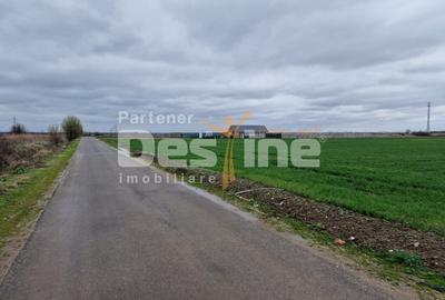 Teren Construcții intravilan de 500 mp, în Dragomirești-Vale - 5