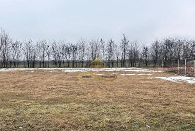 Teren în Săucești - 3