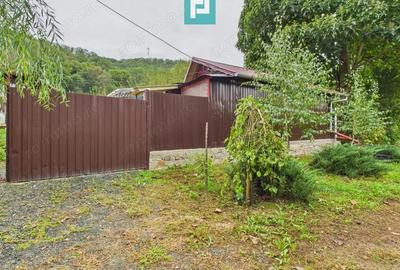 Casu?a de vacan?a pentru pescari in Lipova - 5