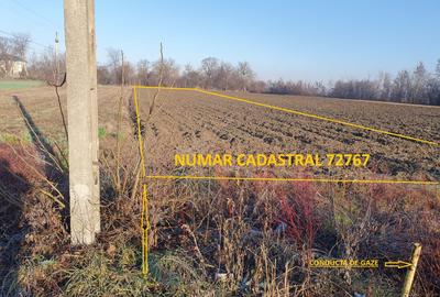Teren de vanzare intravilan Cornesti Dambovita 2.440 mp - 2
