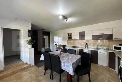 Casa individuala spa?ioasa, situata in ora?ul Teiu? - 3