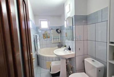 Apartament cu 2 camere semidecomandat, mobilat în Nufărul - 4